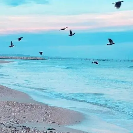 Ayan Moonlight Mamaia